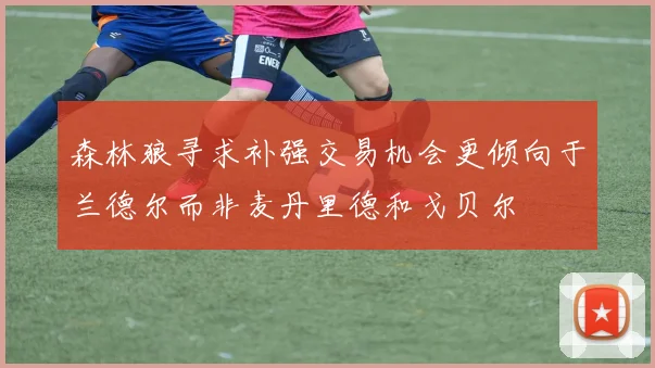 森林狼寻求补强交易机会更倾向于兰德尔而非麦丹里德和戈贝尔