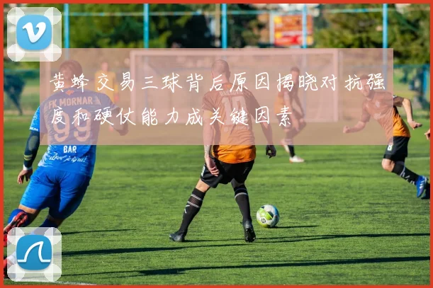 黄蜂交易三球背后原因揭晓对抗强度和硬仗能力成关键因素